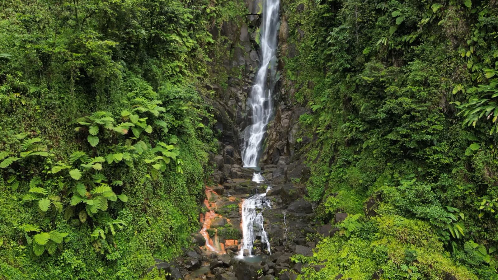 A tall waterfall cascading over dark, moss-covered rocks in Dominica's rainforest