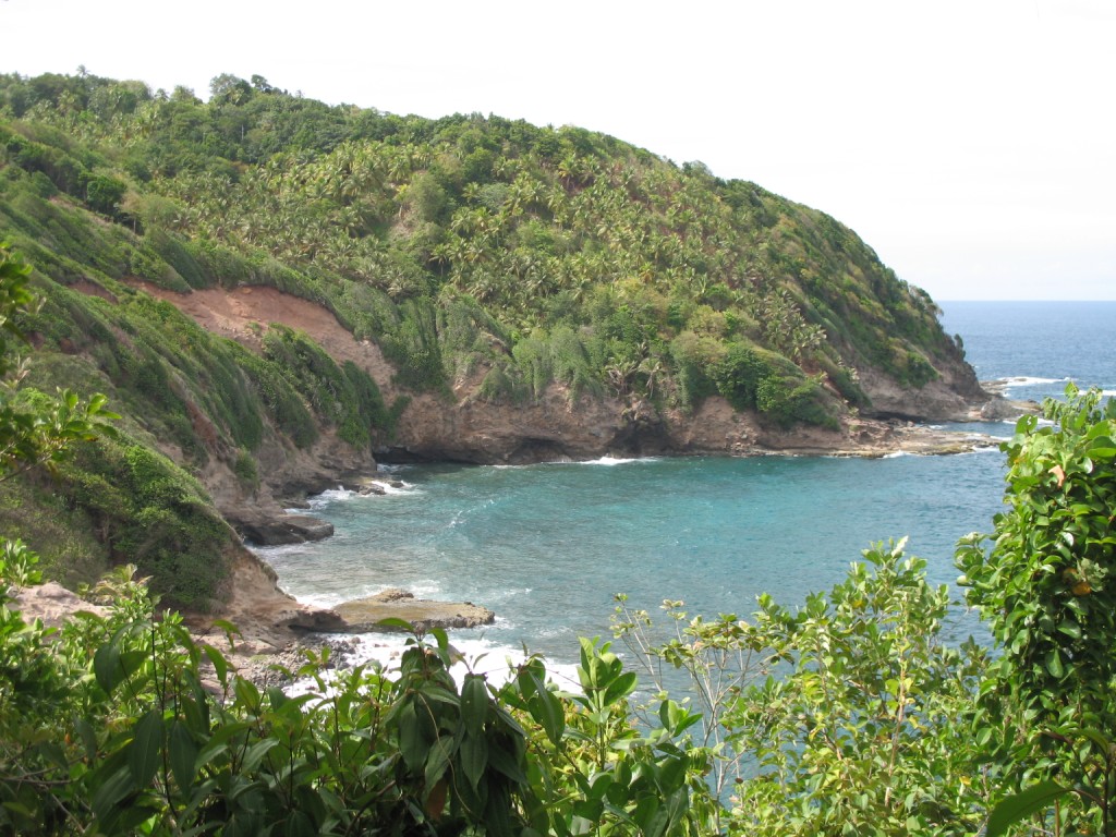 Bataka