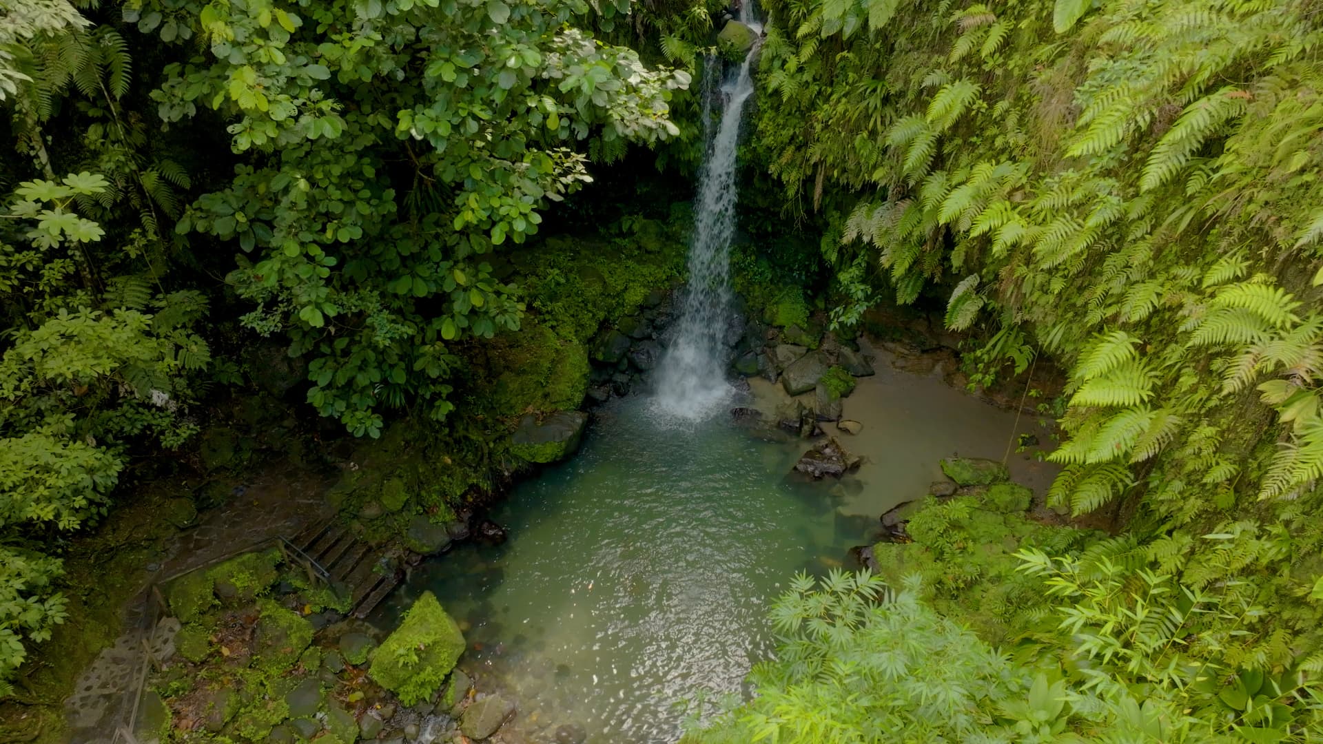 Emerald Pool tucked beneath the rainforest canopy