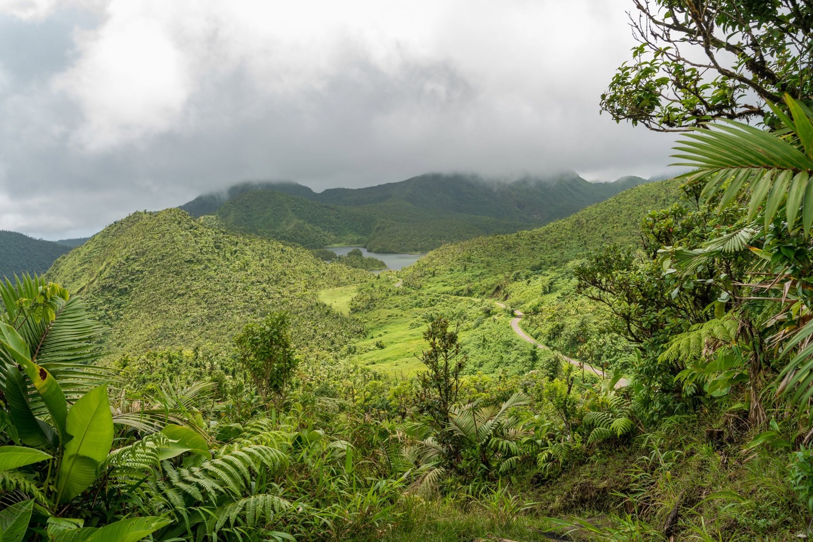 A stone trail winding through Dominica's lush rainforest toward a cloud-capped volcanic peak